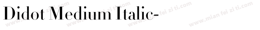 Didot Medium Italic字体转换